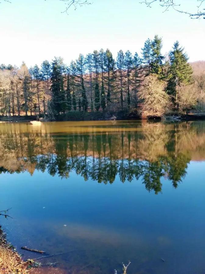 Casa Vacanze Flora Peschici Zewnętrze zdjęcie