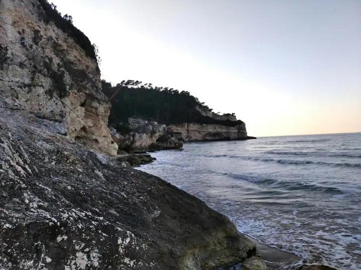 Casa Vacanze Flora Peschici Zewnętrze zdjęcie