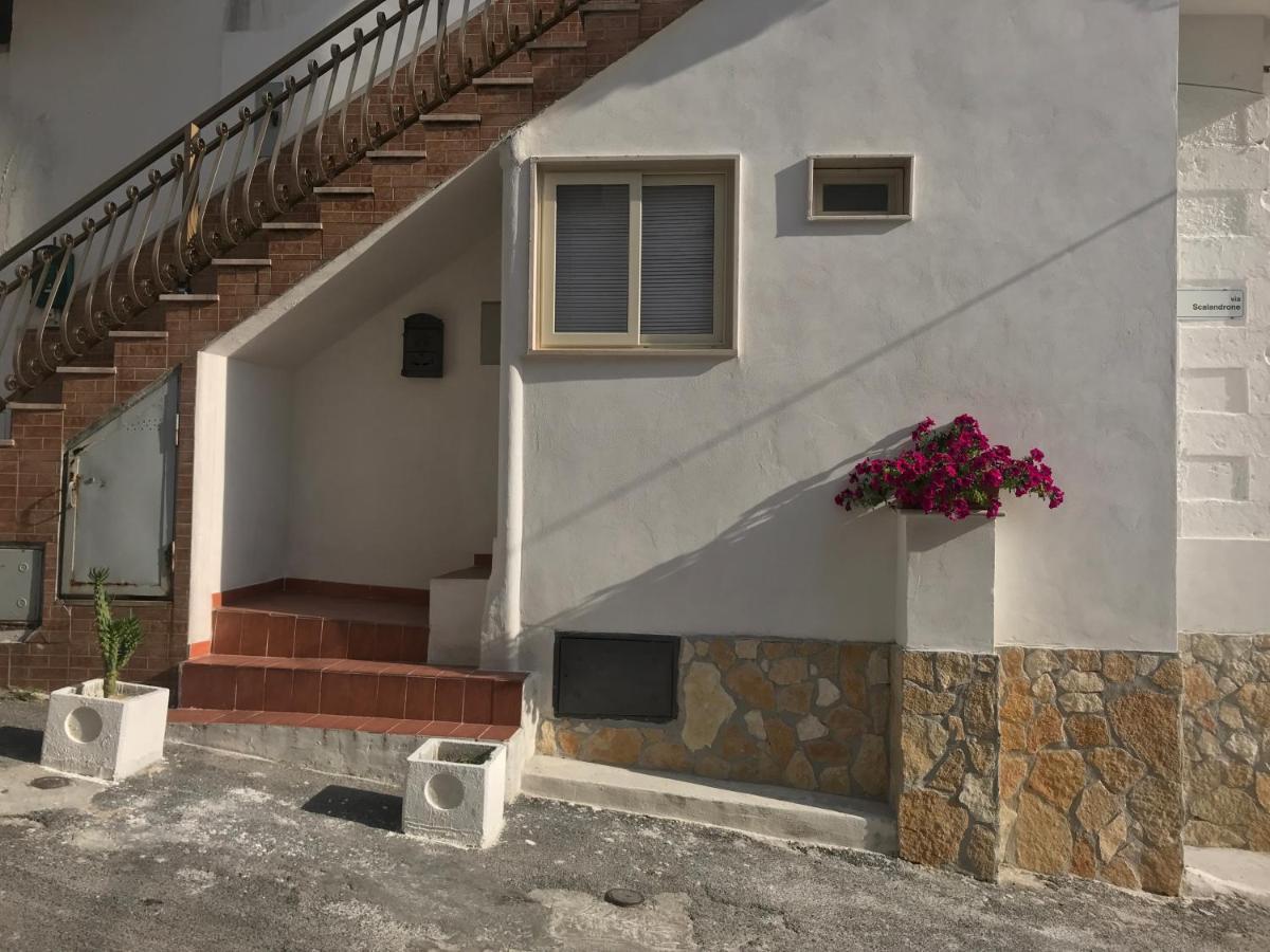 Casa Vacanze Flora Peschici Zewnętrze zdjęcie
